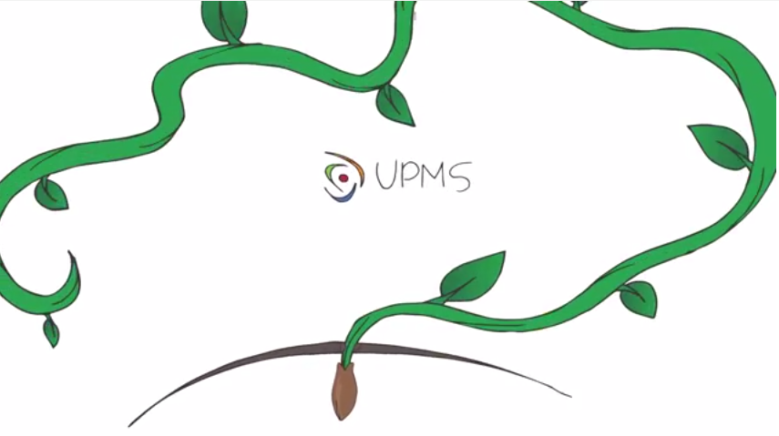 Vídeo UPMS